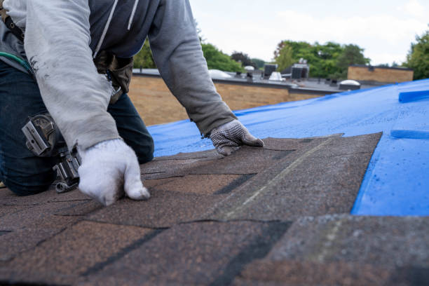 Roof Gutter Cleaning in Nokomis, FL
