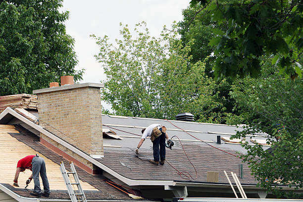Best Shingle Roofing Installation  in Nokomis, FL