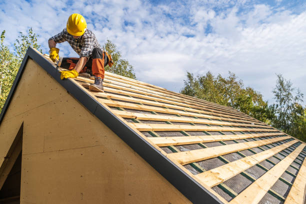 Best Commercial Roof Installation  in Nokomis, FL